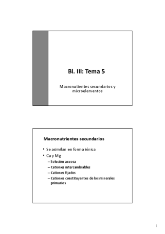 Tema-5-Macronutrientes-secundarios-y-microelementos.pdf