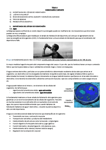 T4-Hidratacion-y-deporte.pdf