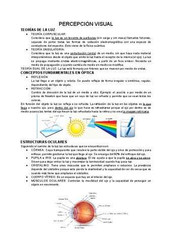 Apuntes-percepcion-completos-2022-23.pdf