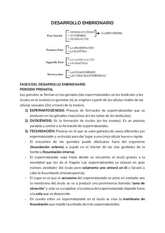 Desarrollo-embrionario.pdf