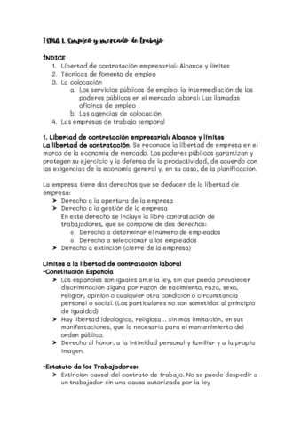 Acceso-al-empleo-y-promocion-profesional.pdf