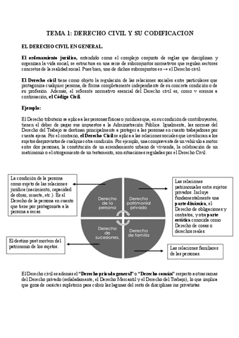TEMA-1 CIVIL I.pdf