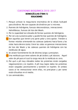 Soluciones Cuestiones Temas 1-6.pdf