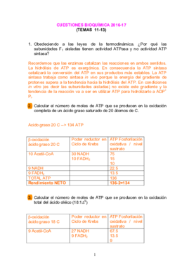 Soluciones Cuestiones Temas 11-13.pdf