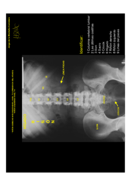 ANATOMÍA RADIOLÓGICA.pdf