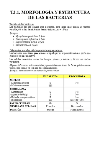 T3.1.-Morfologia-y-estructura-de-las-bacterias.pdf