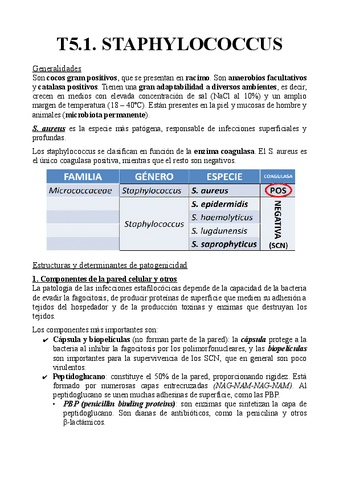 T5.1.-Staphylococcus.pdf