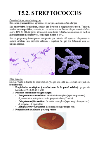 T5.2.-Sreptococcus.pdf