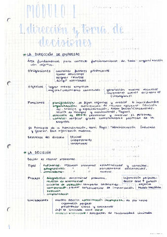 1.-direccion-y-decisiones.-planificacion-y-control.pdf