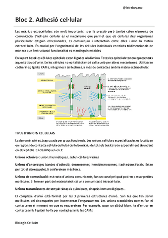 B2-T5-adhesio-celular.pdf