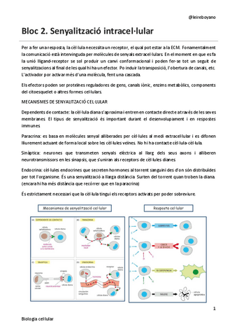 B2-T6-senyalitzacio-cellular.pdf
