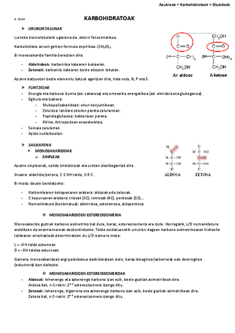 4.-Karbohidratoak.pdf