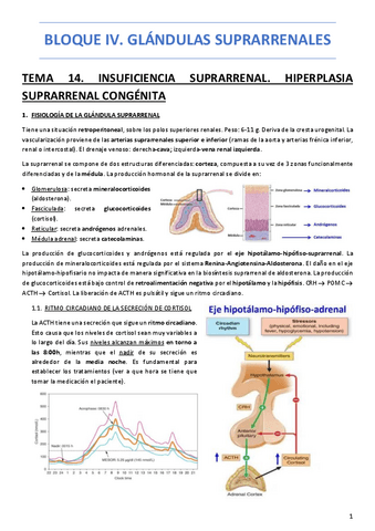 BLOQUE-IV.-GLANDULAS-SUPRARRENALES.pdf