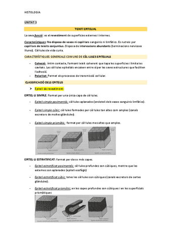 UNITAT-3-HISTOLOGIA.pdf