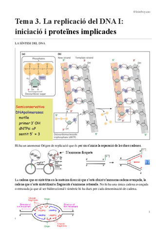 Tema3replicacio-I.pdf