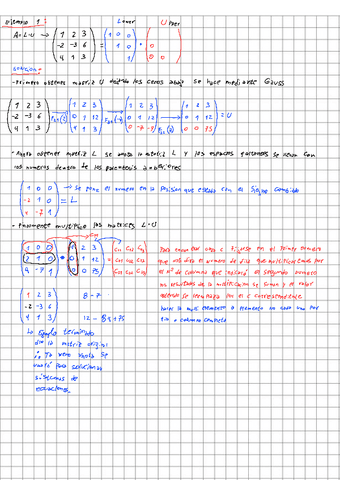 Factorizacion-LU-ejercicios230910131836.pdf