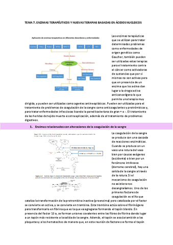 TEMA-7-OBPIIS-COMPLETO.pdf