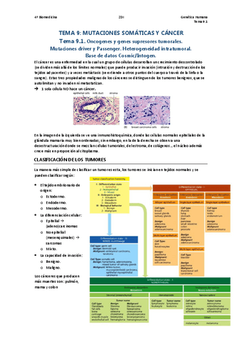 Tema-9.1.-Oncogenes-y-genes-supresores-tumorales..pdf