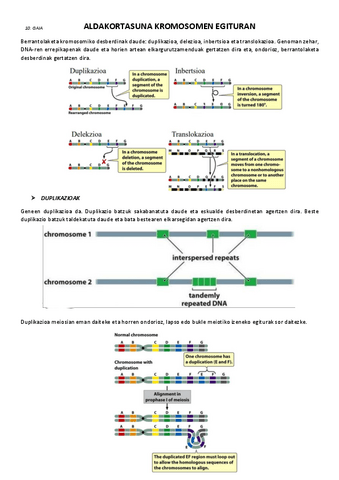 10.-Aldakortasuna-kromosomen-egituran.pdf