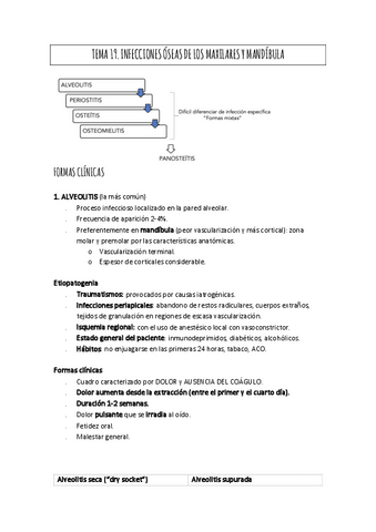 TEMA-19.pdf
