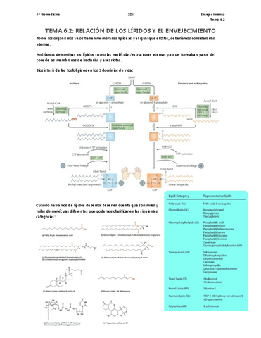 TEMA-6.2.pdf