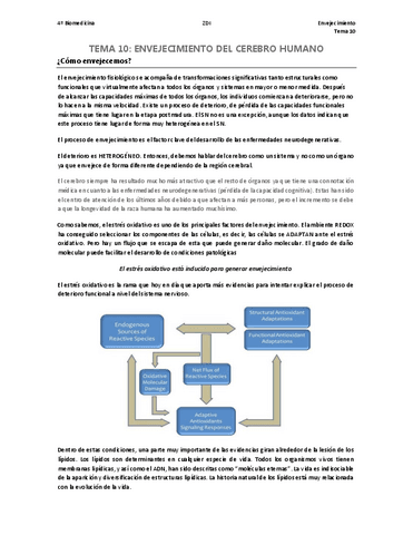 TEMA-10.pdf