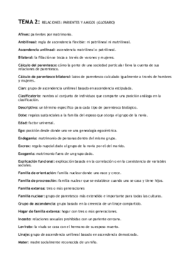 Definiciones- tema 2.pdf