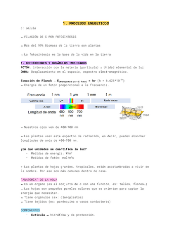 1.-Procesos-energeticos.pdf