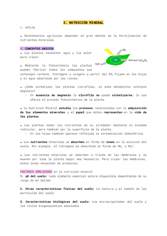 3.-Nutricion-mineral.pdf