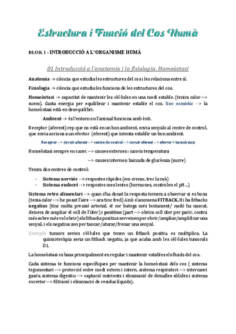 Estructura-del-Cos-Huma-Block-1.pdf