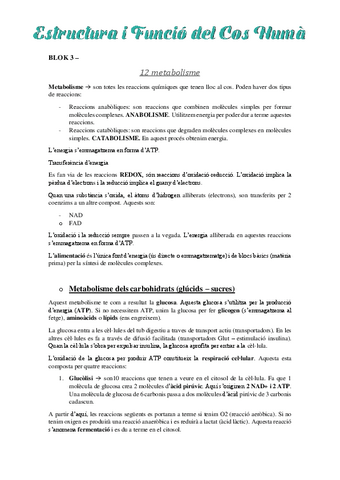 Estructura-del-Cos-Huma-Block-3.pdf