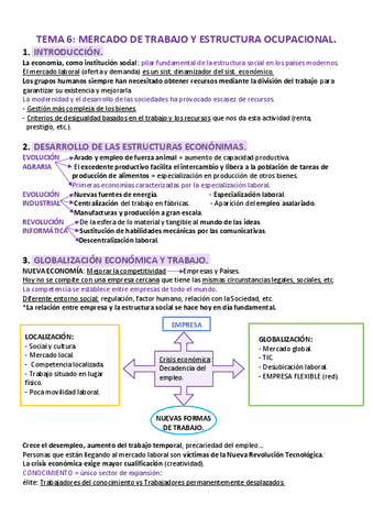 TEMA-6-MERCADO-DE-TRABAJO-Y-ESTRUCTURA-OCUPACIONAL.pdf