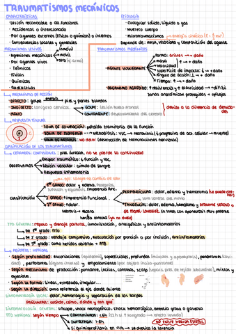 Traumatismos-Mecanicos.pdf