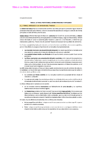 TEMA-6-LA-FIRMA-PROPIETARIOS-ADMINISTRADORES-Y-EMPLEADOS-5.pdf