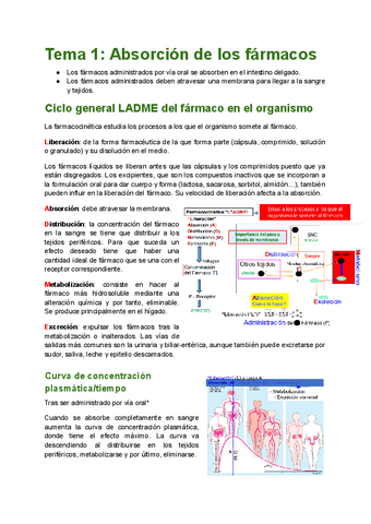 TEMA-1-Absorcion.pdf