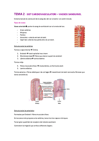 tema-2-sistema-cardiovascular-vasos-sanguinis-fet.pdf