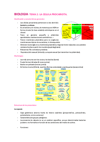 Tema-2-procariotas.pdf