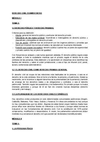 teoría-DERECHO-CIVIL-EXAMEN.pdf