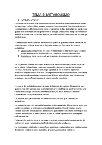 TEMA-4-ALIMENTACION-EQUILIBRADA.pdf