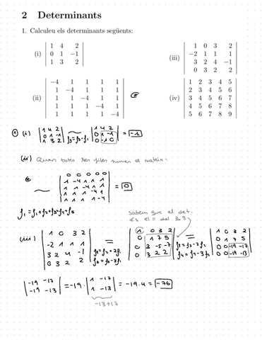 Algebra-Problemes-Determinants-i-aplicacions-lineals.pdf