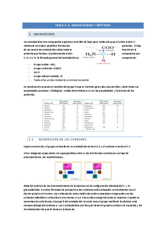 tema-1A-aa-y-peptidos.pdf