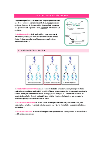 tema-7a-replicacion-ADN.pdf