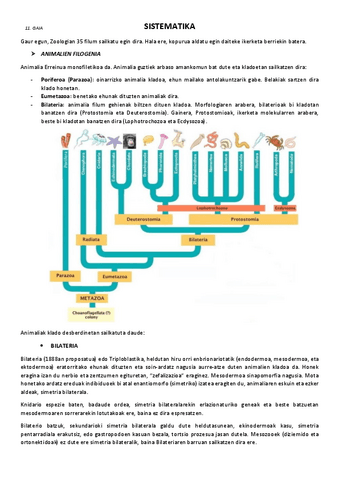 11.-Sistematika.pdf