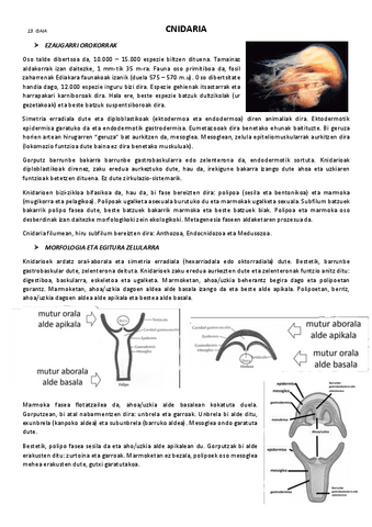 13.-Cnidaria.pdf