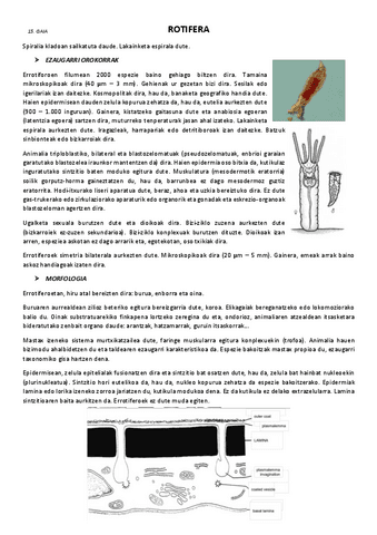 15.-Rotifera.pdf
