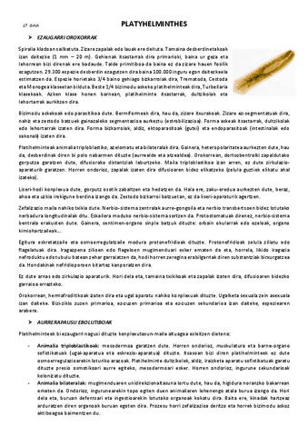 17.-Platyhelminthes.pdf