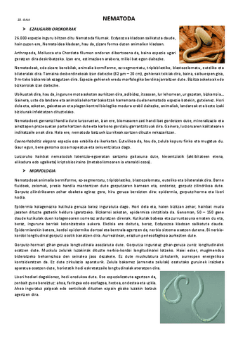 22.-Nematoda.pdf