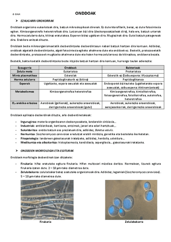 6.-Onddoak.pdf