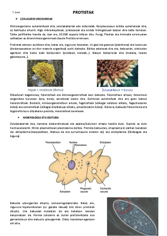 7.-Protistak.pdf