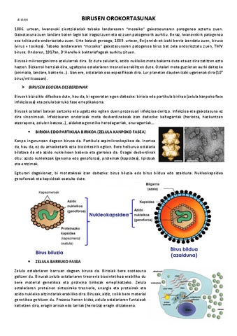 8.-Birusen-orokortasunak.pdf
